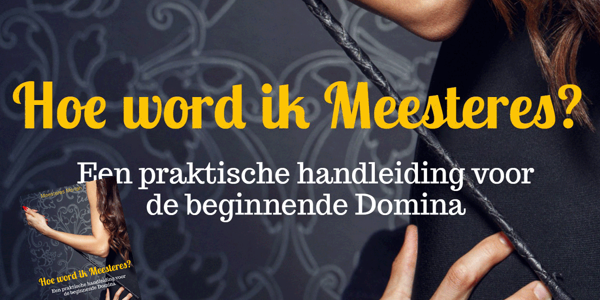 Hoe word ik Meesteres? Een naslagwerk voor de beginnende Domina