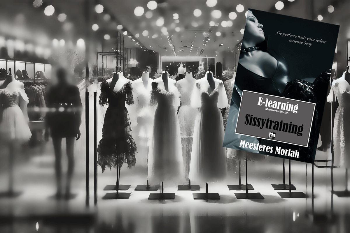 NIEUW: E-book Sissytraining