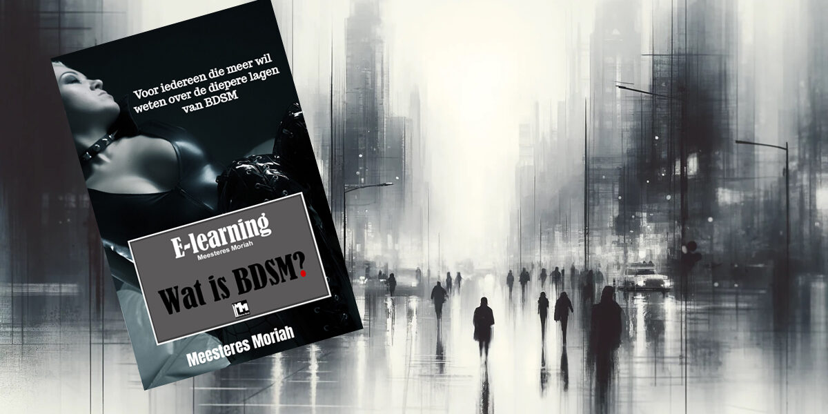 NIEUW: E-book Wat is BDSM?