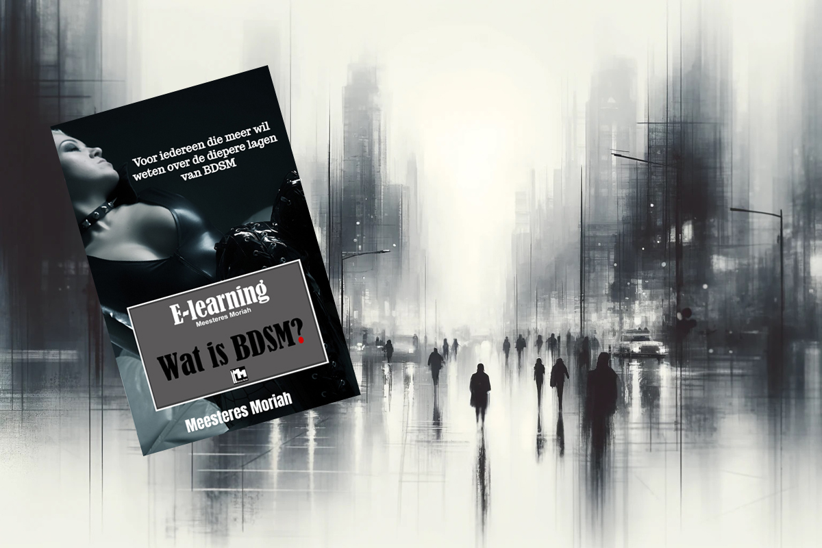 NIEUW: E-book Wat is BDSM?